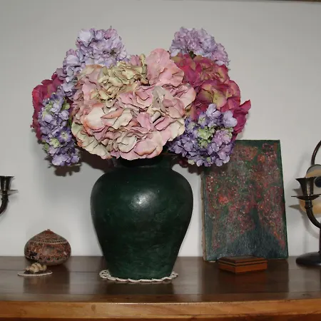 Les Hortensias Monpazier